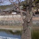 논산바다 이미지