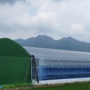 GS25거창가조점 이미지