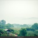 화포천생태습지공원 이미지