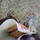 뽀꼬팡 회기점 네이버블로그