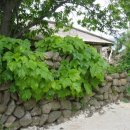 진고마을 이미지