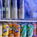 하와이장 이미지