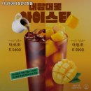 이디야커피양천