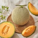 지평우체국 | [공지] (26.04.21)18브릭스 황금빛 달콤함, 노을 메론 입장 + 17브릭스 역대급 고당도 명품 블랙펄...