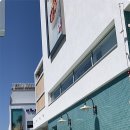 동백팜 네이버블로그