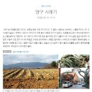 홍미만두 이미지