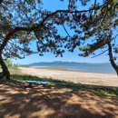 장선포2 이미지