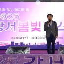 봄빛조명
