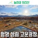 상림고운광장 이미지