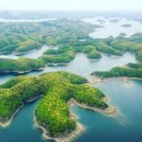 (주)월드여행사 이미지