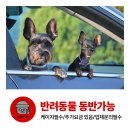 성산렌트카 이미지