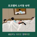 스키동 | 아이친구 모임 하기 좋은 오크밸리 스키동 숙박후기