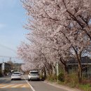 서익산농협웅포지점 이미지