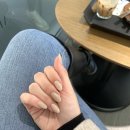 비비드반나