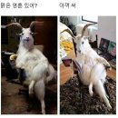대구여행 당일치기 다녀오다 1 (수봉반점, 대구국립박물관, 대구간송미술관)