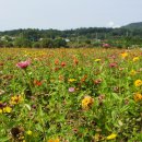 꽃밭 - 용산구 한강대로7길 9-16 | 꽃밭