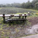 원플러스원 농장 이미지