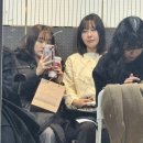 안묵매 이미지