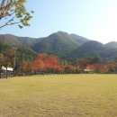 삼일빌라 앞 이미지