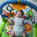 유호체육관 이미지