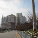 대선월드피아 이미지