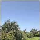 서담미가 | 서담미가 제주한림풀빌라 후기, 인생샷 건지기 좋은 프라이빗 숙소