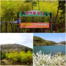 서지농원 이미지