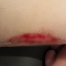 광진민박 이미지