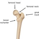데이동물의료센터 이미지