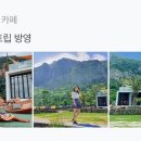 더 앤 서귀포