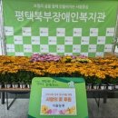 다솔농원 - 용인시 처인구 전궁로 29 | 다솔농원
