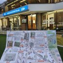 산수싸리 이미지