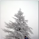 상동읍 밤산골 입구(상동읍-21) | 정선 함백산(09.1.30)