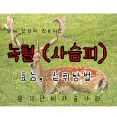 부자 흑염소농장 이미지