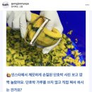 궁전예가 이미지