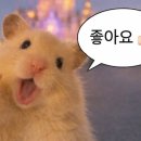 주헤어 네이버블로그