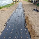 대월 주유소 이미지