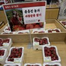 양평 로컬푸드 찾는다면, 양서농협 두물머리 로컬푸드직매장과 농부시장 코스