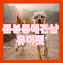 더 펫 애견샵 이미지