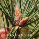 보배 어린이공원 이미지