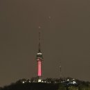 진포레스트인 이미지