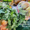 싱싱한 야채 청과 이미지