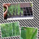 장현3리 이미지