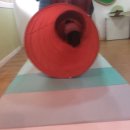 합기도 천지관 이미지