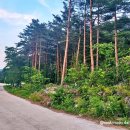 법수치통나무산장 | 양양 독채 펜션 강원도 양양 법수치 계곡 숙소 산골 물놀이 여행