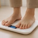 바디플러스 이미지