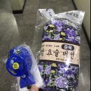 일산중산중산-144 | [일산 카페]일산 이색데이트 "퐁퐁실내낚시카페" 실내낚시터