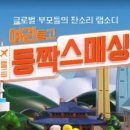짝다방 이미지