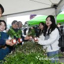 주식회사 희망나무 이미지