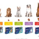 유성365약국 이미지